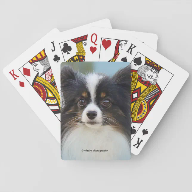 Cute Papillon Toy Spaniel Dog at the Dock Poker Cards