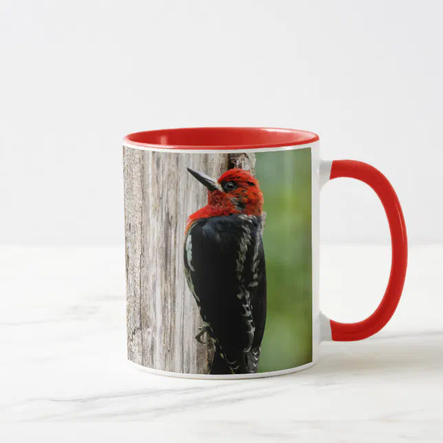 Meeting a Red-Breasted Sapsucker Mug