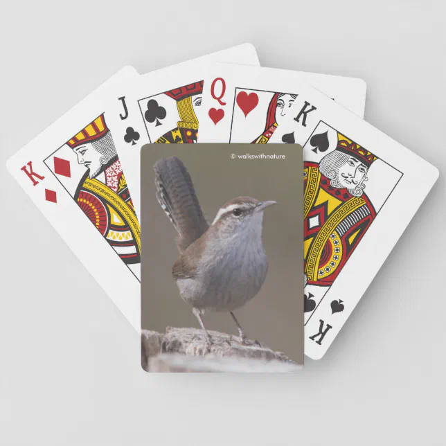 Bewick's Wren Songbird on Treestump Poker Cards