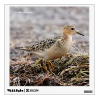 Profile of a Buff-Breasted Sandpiper at the Beach Wall Sticker