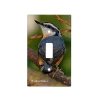 Red-Breasted Nuthatch Looks Back Light Switch Cover