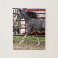 Mini Horse in Liberty Class Jigsaw Puzzle