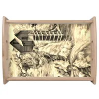 Colorado Rocky Mountains River Crystal Mill Serving Tray