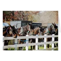 A Line of Amish Horses