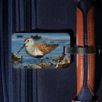 Beautiful Dunlin Sandpiper at the Spring Beach Luggage Tag