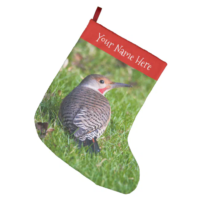 Stunning Red-Shafted Northern Flicker Woodpecker Large Christmas Stocking