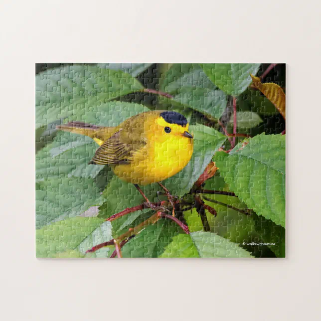 Beautiful Wilson's Warbler in the Cherry Tree Jigsaw Puzzle