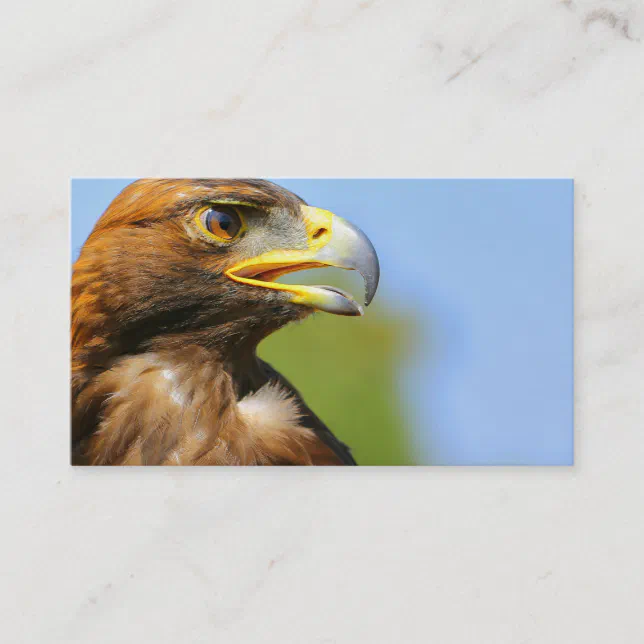 Vision of a Beautiful Young Golden Eagle Business Card