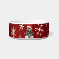 Christmas Cat Photo in Santa Hat Snowflake in Red Bowl