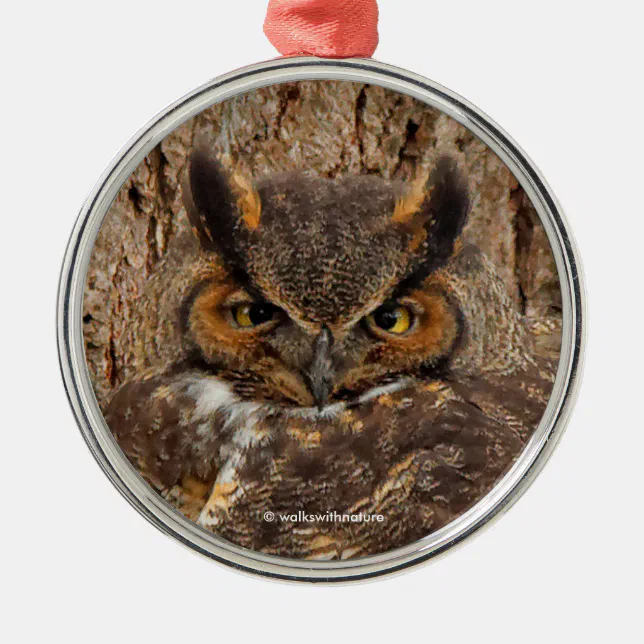 Great Horned Owl in the Douglas Fir Metal Ornament