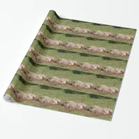 Sunbathing Capybara Wrapping Paper