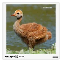 Sandhill Crane Colt Wall Decal