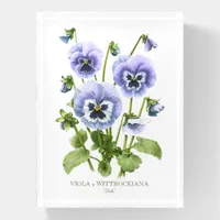 Purple Pansies Paperweight