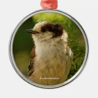 Cute Grey Jay Whiskeyjack Songbird Metal Ornament