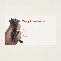 Baby Sugar Gliders Merry Christmas Big Tag