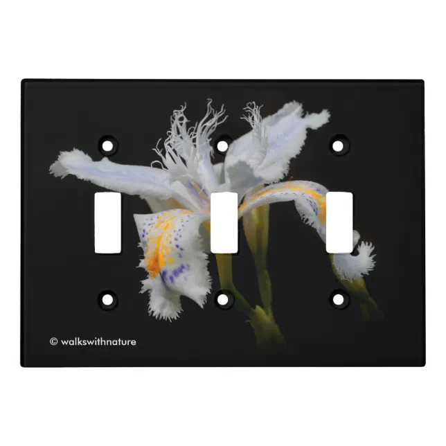 Elegant Floral Crested Shaga Japanese Iris Light Switch Cover