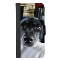 Add Your Dog's Photo to this Custom iPhone 8/7 Wallet Case