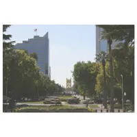 Sacramento: Tower Bridge from Capitol Mall Tissue Paper