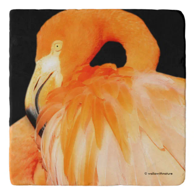 Elegant Flamingo in the Summer Sun Trivet