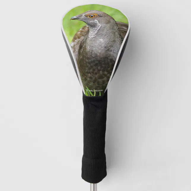 Beautiful Sooty Grouse in the Grass Golf Head Cover
