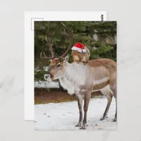 Adorable Squirrel Santa and the Reindeer Christmas Postcard