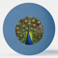 Colorful peacock ping pong ball