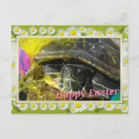 Easter Turtle Flower Border Digital Art Holiday Postcard