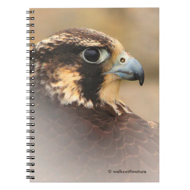 Vignetted Profile of a Peregrine Falcon Notebook