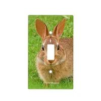 Cute Bunny Chewing Greens on the Golf Fairway Light Switch Cover