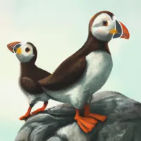 W2A Cute Atlantic Puffins on the Rocks