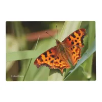 Beautiful Orange Satyr Comma Butterfly Placemat