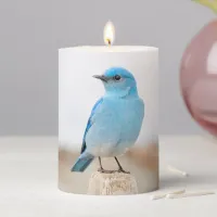 Beautiful Mountain Bluebird on Beach Stump Pillar Candle