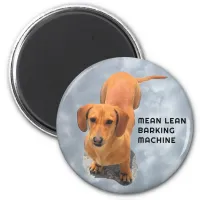 Cute Brown Dachshund Barking Machine Magnet