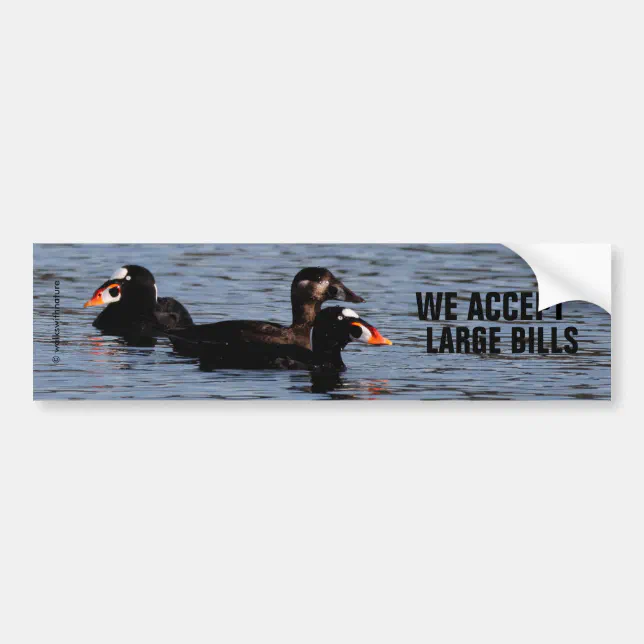 We Accept Large Bills: Funny Surf Scoter Ducks Bumper Sticker