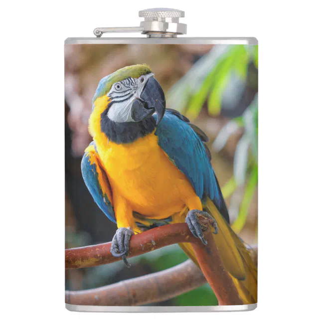 Beautiful Blue and Gold Macaw Flask