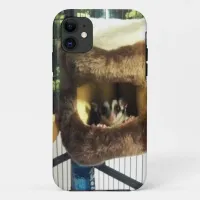 Sugar Glider in Furry Tree Truck Hanging Bed iPhone 11 Case