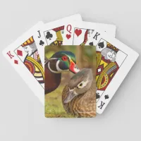 A Beautiful Touching Moment Between Wood Ducks Playing Cards