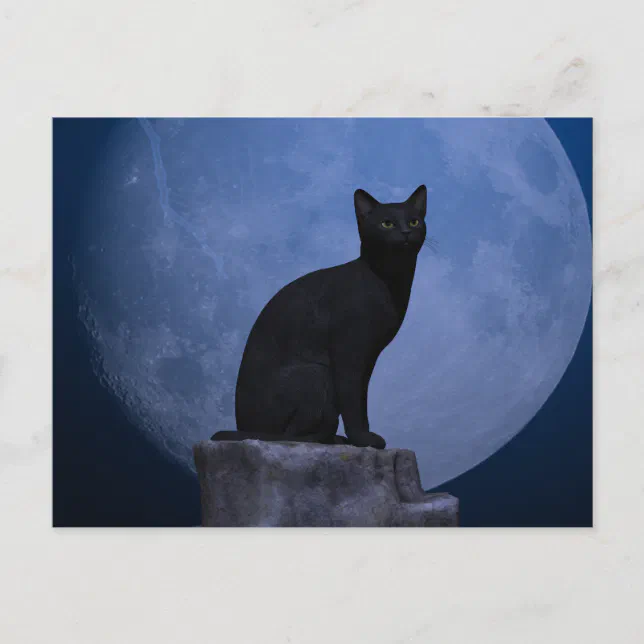 Moonlit Cat Postcard