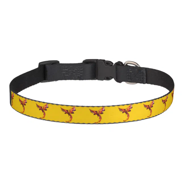 Colorful Phoenix Flying Against a Fiery Background Pet Collar