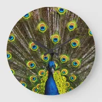 Colorful peacock large clock