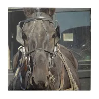 Amish Buggy Horse Ceramic Tile