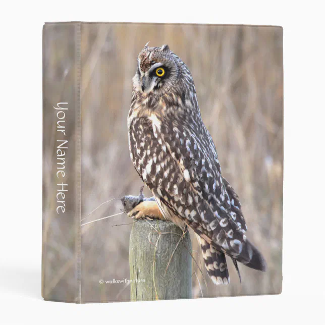 Short-Eared Owl with Vole Mini Binder