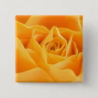 Orange Rose Pinback Button