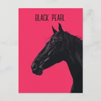 Black Horse Postcard