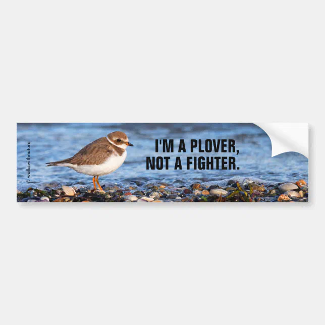 Funny Semipalmated Plover Not a Fighter Bumper Sticker