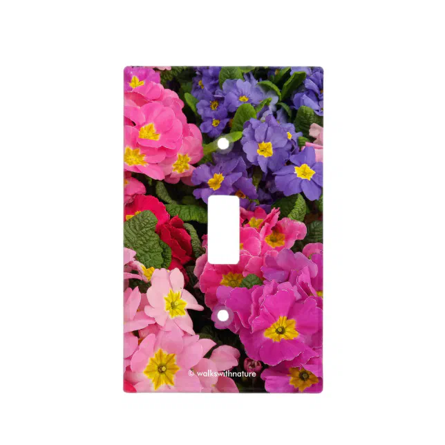 Colorful Floral Pink Blue Purple Primula Flowers Light Switch Cover