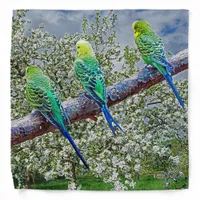 Birds - budgies bandana