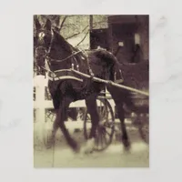 Amish Horse and Buggy Rural Iowa Photography  Postcard