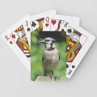 Blue Jay on Fence Poker Cards