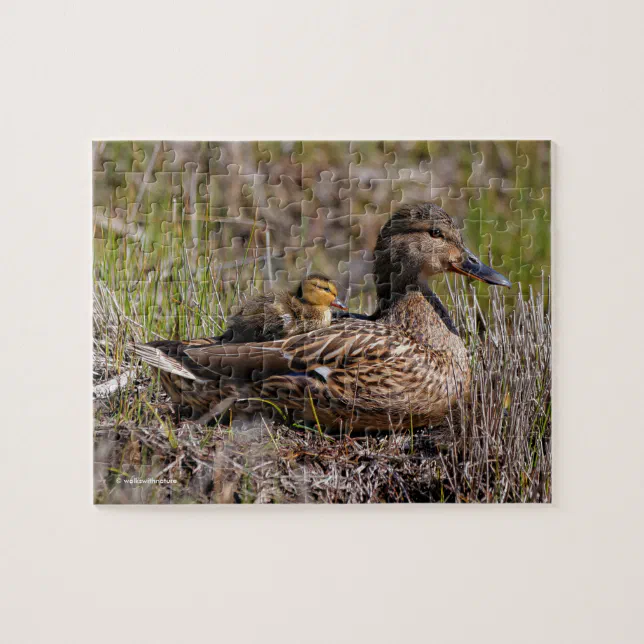 Cute Chillin' Mallard Mom Duck & Baby Duckling Jigsaw Puzzle